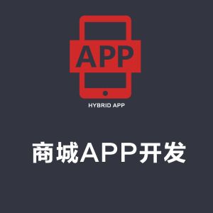 青岛商城app开发制作定制商城网站建设制作电子商务网站公司企业