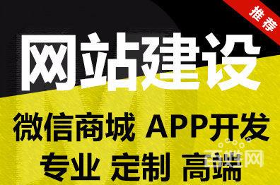 网站,app,商场,平台,企业应用系统定制开发