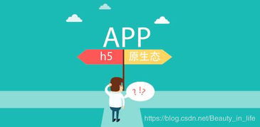 app定制开发与普通开发有什么区别